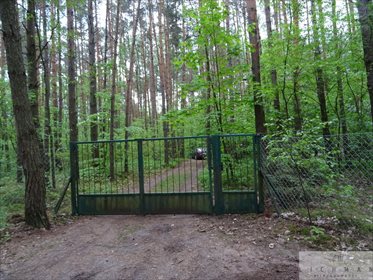Działka leśna z prawem budowy na sprzedaż Kwiatkowice-Las 2 420m2 Foto 2