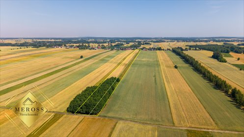 Działka 30 500 m² z możliwością zabudowy i rekreacji działka Zamoście-Kolonia