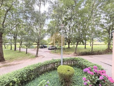Mieszkanie 49 m² w Wałbrzychu, do remontu - polecam! mieszkanie Wałbrzych