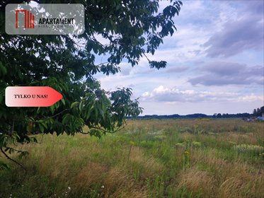 działka na sprzedaż 2641m2 działka Małe Rudy, Spokojna