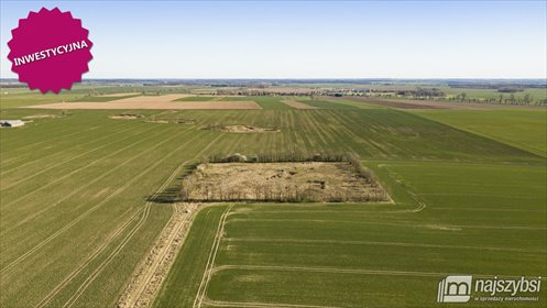 Zapraszam do zakupu działki 2,48ha z wydanymi warunkami zabudowy działka WITKOWO PIERWSZE