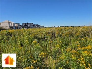 działka na sprzedaż 609m2 działka Płock, Graniczna