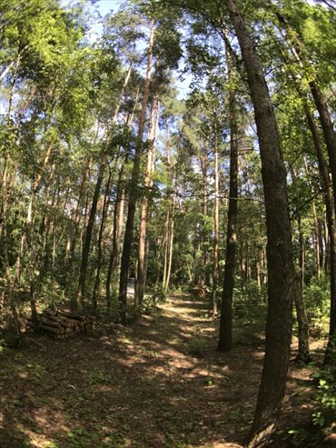 działka na sprzedaż 1657m2 działka Konstancin-Jeziorna, Konstancin-Jeziorna