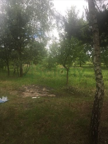 działka na sprzedaż 2000m2 działka Dziechciniec