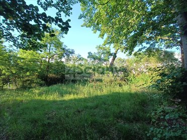 Zapraszam do działki 1600 m² z domem na Białołęce działka Warszawa, Białołęka, Choszczówka