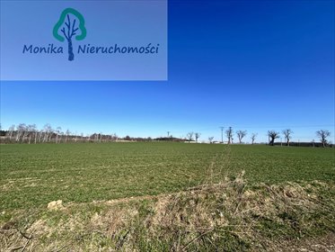 działka na sprzedaż 1000m2 działka Turze, Leśna