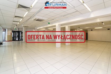 Lokal użytkowy na wynajem Trzcianka 338m2 Foto 3