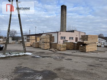Polecam funkcjonujący tartak 40 000 m² z pełnym wyposażeniem lokal użytkowy Płośnica
