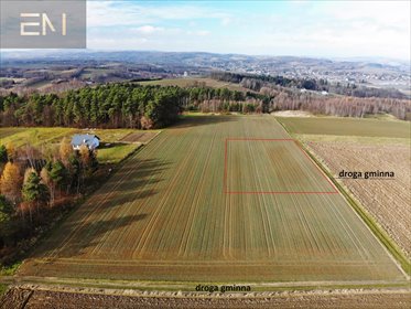 Działka 2,88 ha z warunkami zabudowy - polecam działka Gbiska