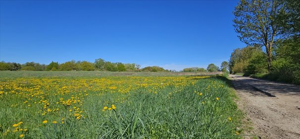 działka na sprzedaż 832m2 działka Szczecin, Skolwin