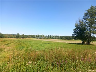 działka na sprzedaż 16300m2 działka Likiec