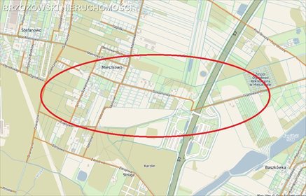 działka na sprzedaż 3440m2 działka Mieszkowo