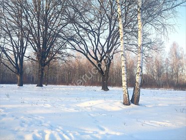 działka na sprzedaż 1370m2 działka Milanówek