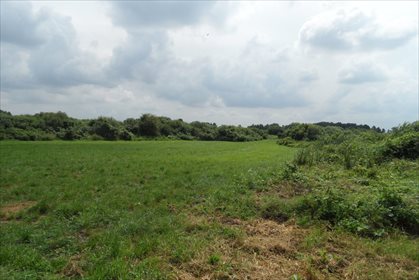 Działka inna na sprzedaż Dalewo 7 722m2 Foto 3