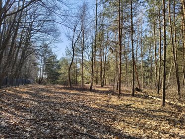 działka na sprzedaż 1459m2 działka Sokolniki-Las, Graniczna