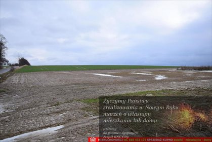 działka na sprzedaż 4001m2 działka Wierciszów