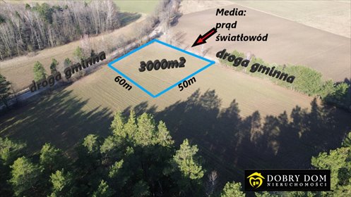 Działka 3000 m² z lasem, media, blisko Białegostoku. działka Horodnianka