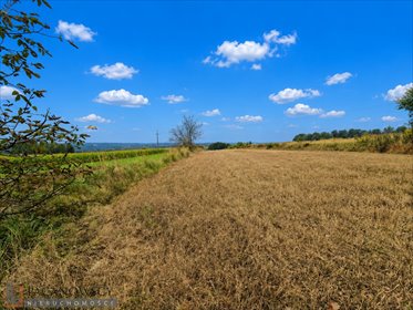 Atrakcyjna działka rolna 5794 m² z mediami, blisko Krakowa działka Zielonki, Marszowiec