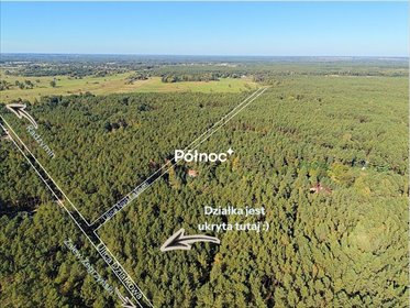 Sprzedam leśną działkę 2400 m² z pagórkami w Łosiach działka Łosie