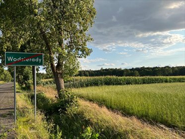 Działka inwestycyjna na sprzedaż Wodzierady, Wodzierady 45 094m2 Foto 3