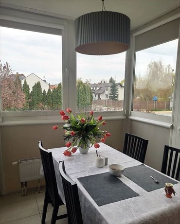 mieszkanie na wynajem 60m2 mieszkanie Gliwice