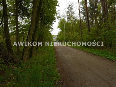 działka na sprzedaż 3179m2 działka Joachimów-Mogiły