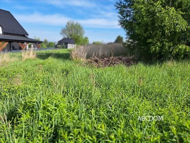 działka na sprzedaż 1000m2 działka Przebieczany, Przebieczany