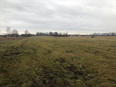 działka na sprzedaż 135233m2 działka Gozdnica