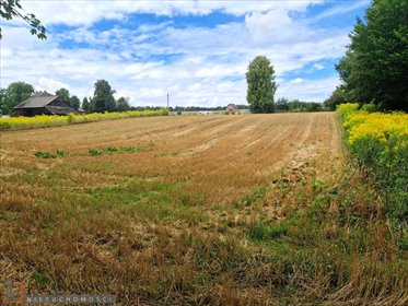 Działka budowlana 32,81 arów w Celinach (media przy) działka Celiny