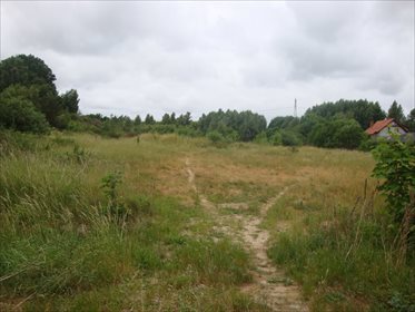działka na sprzedaż 13569m2 działka Włynkówko