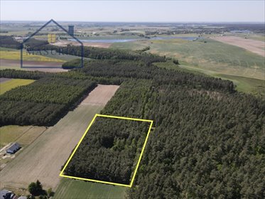 Na sprzedaż działka 7 900 m² w Radomnie - blisko natury działka Radomno