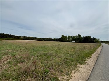 działka na sprzedaż 1100m2 działka Antoninów