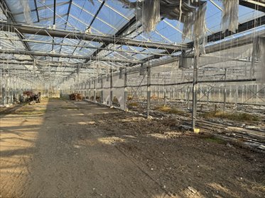 magazyn na wynajem 3500m2 magazyn Łódź, Górna