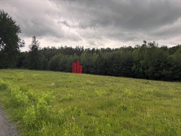 Na sprzedaż działka 3 200 m² z warunkami zabudowy działka Osuchów, Graniczna