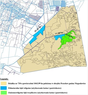 Działka rolna na wynajem 1043 ha w Przecławiu działka Przecław