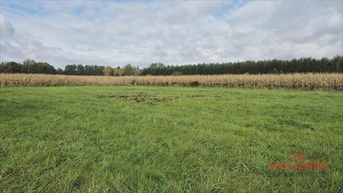Działka rolna 3000 m² w Tatynii - inwestycyjna okazja. działka Tatynia