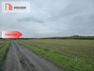 działka na sprzedaż 1450m2 działka Warlubie, Za Torem, Wybudowanie za Torami