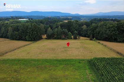 działka na sprzedaż 6605m2 działka Bestwina, Krakowska