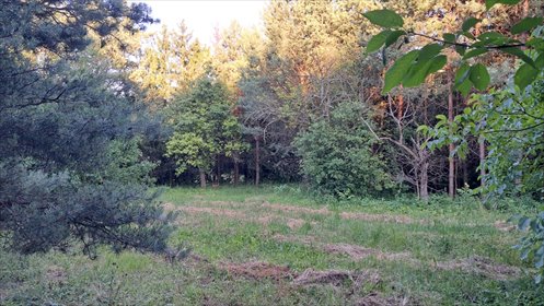 działka na sprzedaż 1171m2 działka Strzyżowice, Strzyżowice, Ogrodowa