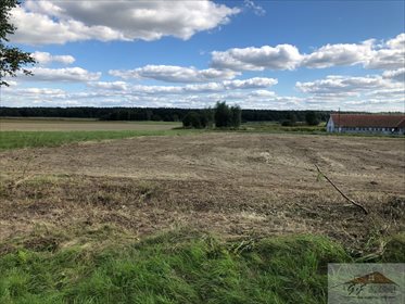 Działka rolna na sprzedaż Kowalówka 2 800m2 Foto 2