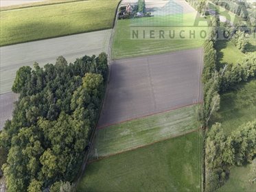 Działka 25 ar w Szetlewie (spokojna okolica, lasy) działka Szetlew
