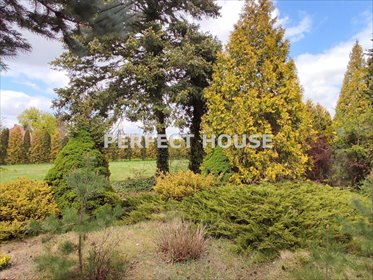 działka na sprzedaż 3297m2 działka Poznań, Podolany