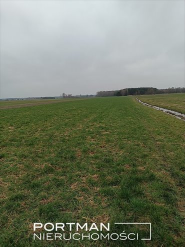 Działka rolna z możliwością zabudowy 17 800 m² zapraszam działka Lasomin
