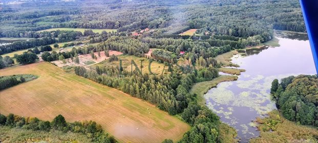 działka na sprzedaż 3181m2 działka Czerniki