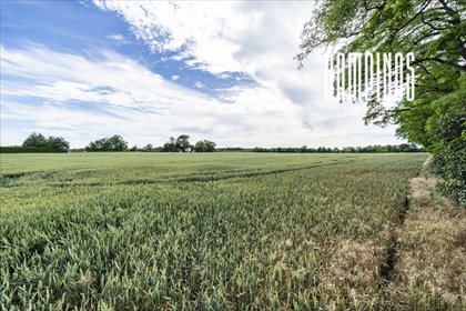 Działka rolna 3550 m2 z warunkami zabudowy w Prusach działka Prusy