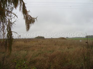 działka na sprzedaż 3000m2 działka Wikcinek