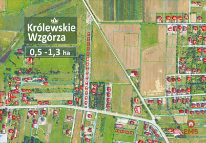 działka na sprzedaż 5350m2 działka Nowe Aleksandrowo, Ogrodniki