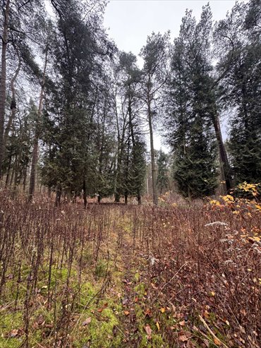 działka na sprzedaż 2150m2 działka piaseczyński