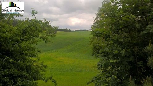Działka rolna na sprzedaż Nowe Krzywe 3 080m2 Foto 5