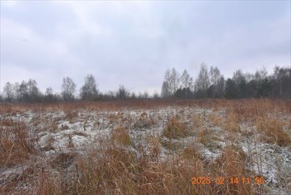 działka na sprzedaż 1536m2 działka Wioska, Brzozowa